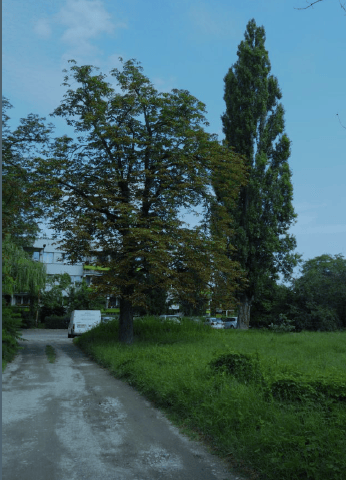 Stan istniejący